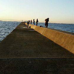 今朝はハネナブラ撃ち。図らずも3目ゲット。