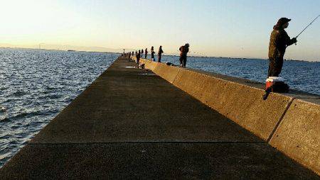 今朝はハネナブラ撃ち。図らずも3目ゲット。