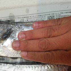 リベンジ成功♪(笑)