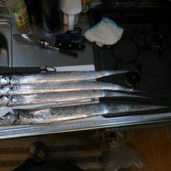 短時間ワインド