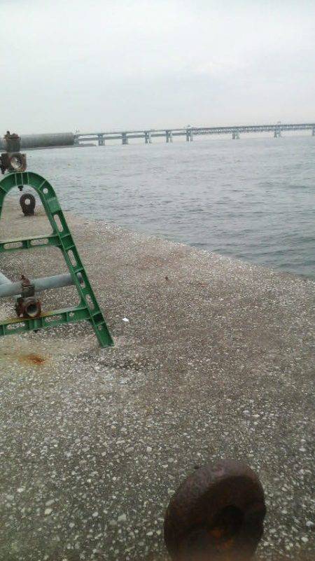 短い時間でもタコが釣れた!