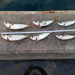 あと３㎝…(　ＴДＴ)