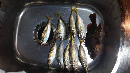 砂地のポイントでアジング!!