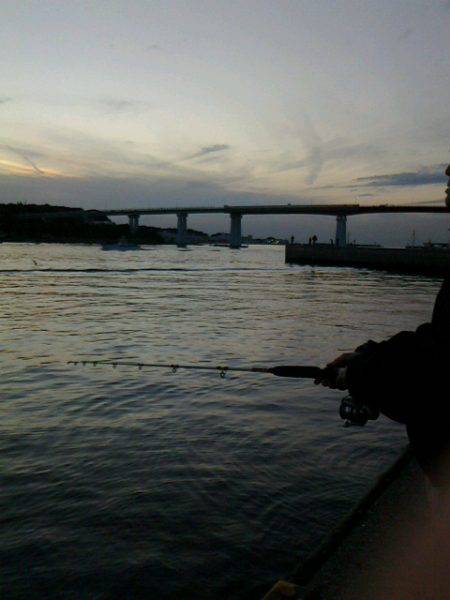 大きく育っていました~