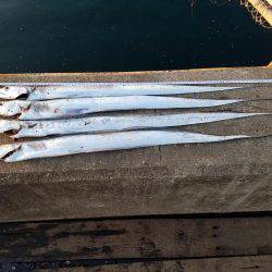 あと、２㎝…(　ＴДＴ)