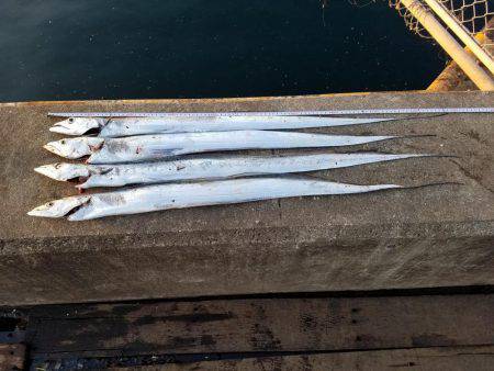 あと、２㎝…(　ＴДＴ)