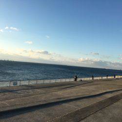 南芦屋浜タチウオ