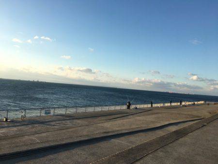 南芦屋浜タチウオ