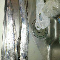 サイズもなかなか