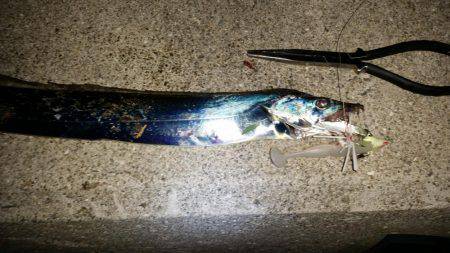 タチウオ遅めのジアイ