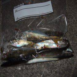 スタートは渋かった