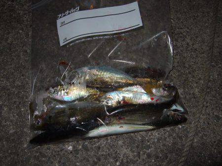 スタートは渋かった