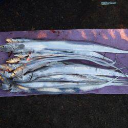 約３０分。ドラゴンは。