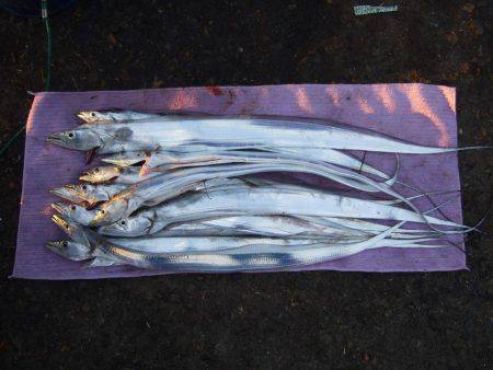 約３０分。ドラゴンは。