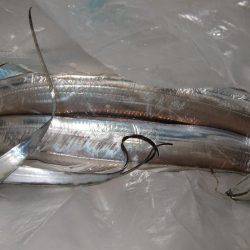 釣れる竿、釣れない竿。ってありますよね?