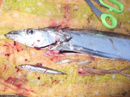 ドラゴン 再び。