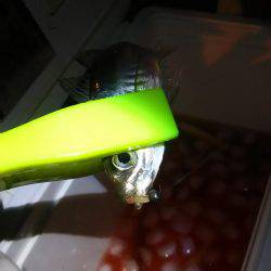 テンションかけずに