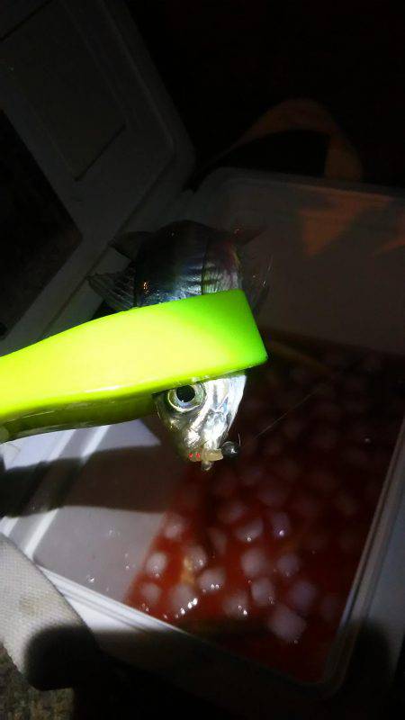 テンションかけずに