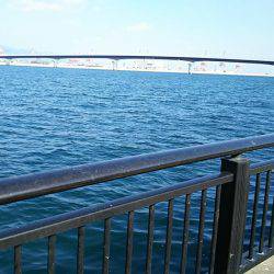 初エビ撒き釣り