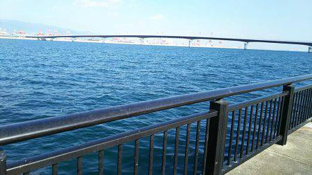 初エビ撒き釣り