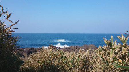 青物不発、グレ、アジ、メバルは高活性です。