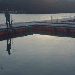 カタタの釣り堀でヒラマサイベント