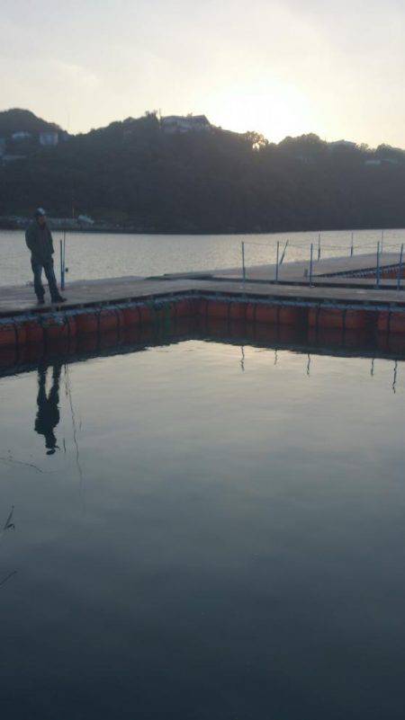 カタタの釣り堀でヒラマサイベント