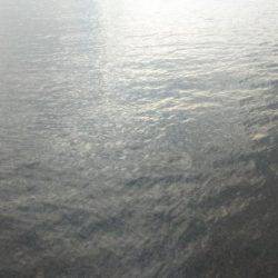 ヤエンで釣りました