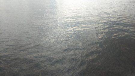 ヤエンで釣りました