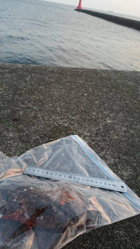 朝間づめ一時間勝負で。