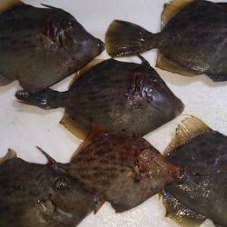 爆風でしかも寒い