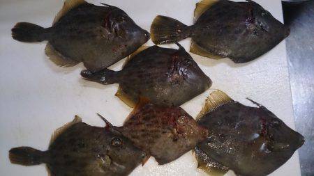 爆風でしかも寒い