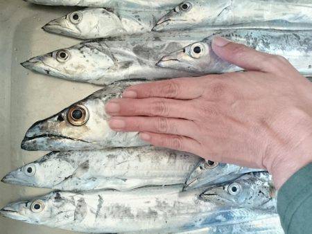 やっと数釣りできた ドラゴン 108cmも