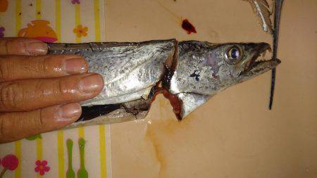 この時期の雨はツライ