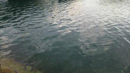 貝塚人工島水路にて太刀魚