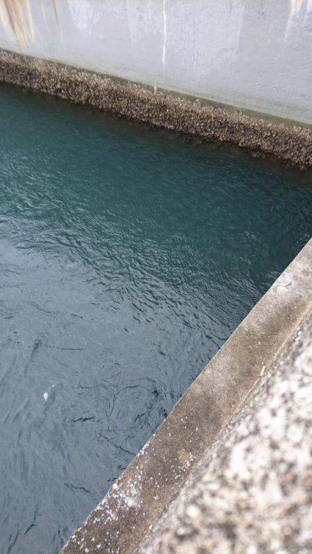 貸し切り爆釣！