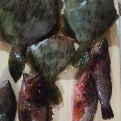 南淡路メガフロート大時化