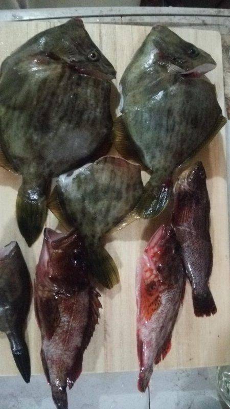 南淡路メガフロート大時化