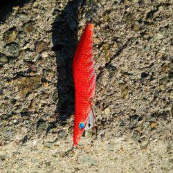 600はあると思いましたが