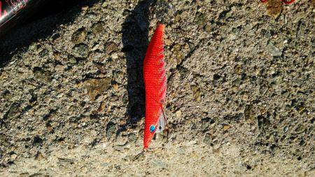 600はあると思いましたが