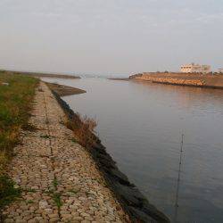 デカいシーバスはいずこに・・・？