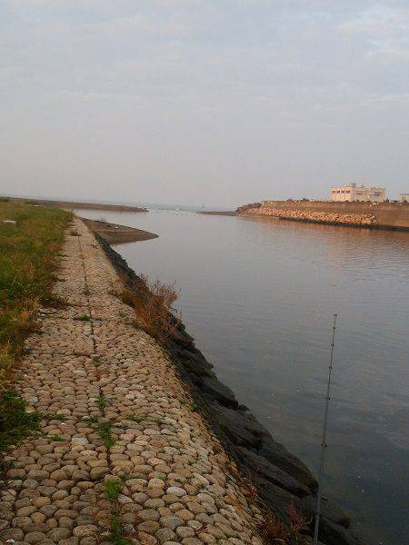 デカいシーバスはいずこに・・・？