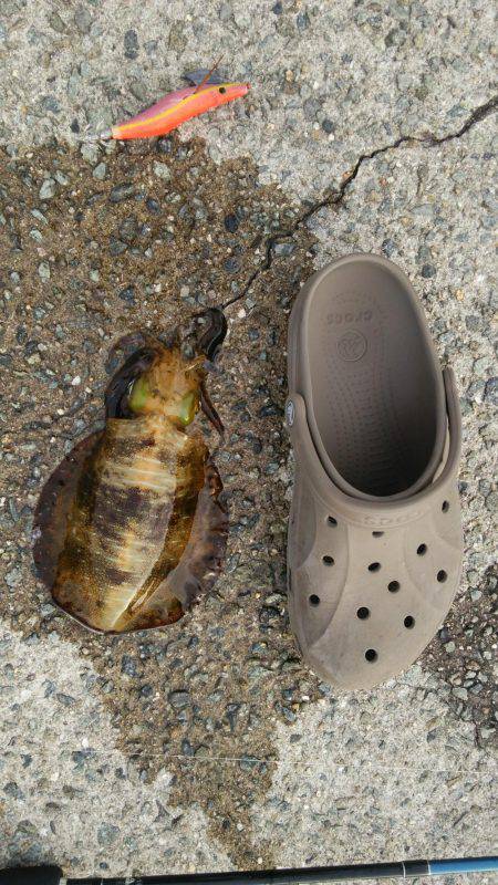 やる気はあるものの