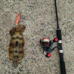 なんとか坊主回避