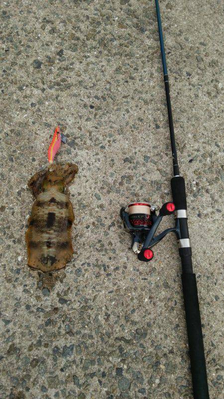 なんとか坊主回避