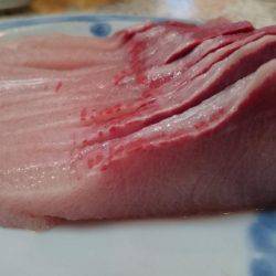 アルバトロス乗船