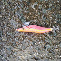 雨の中なんとか１杯