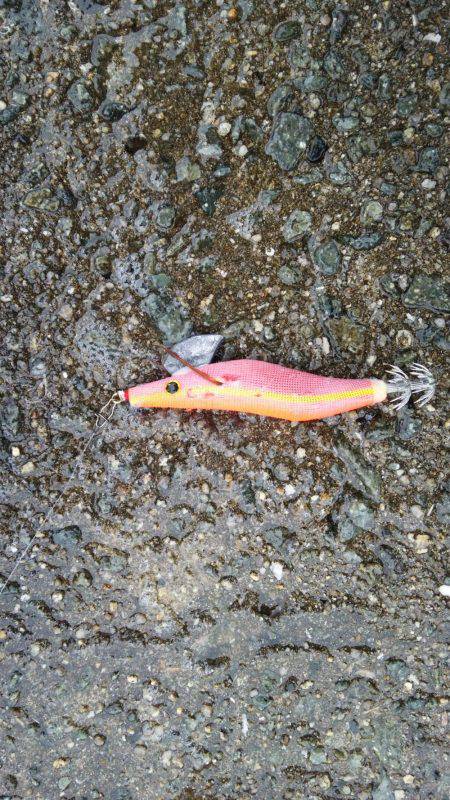 雨の中なんとか１杯