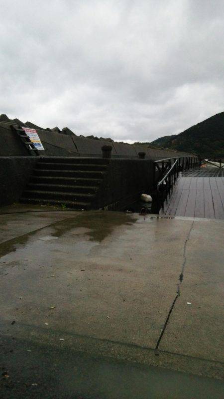 雨でも負けずにエギング