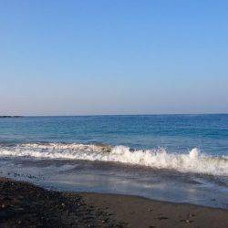 ジグサビキさまさま